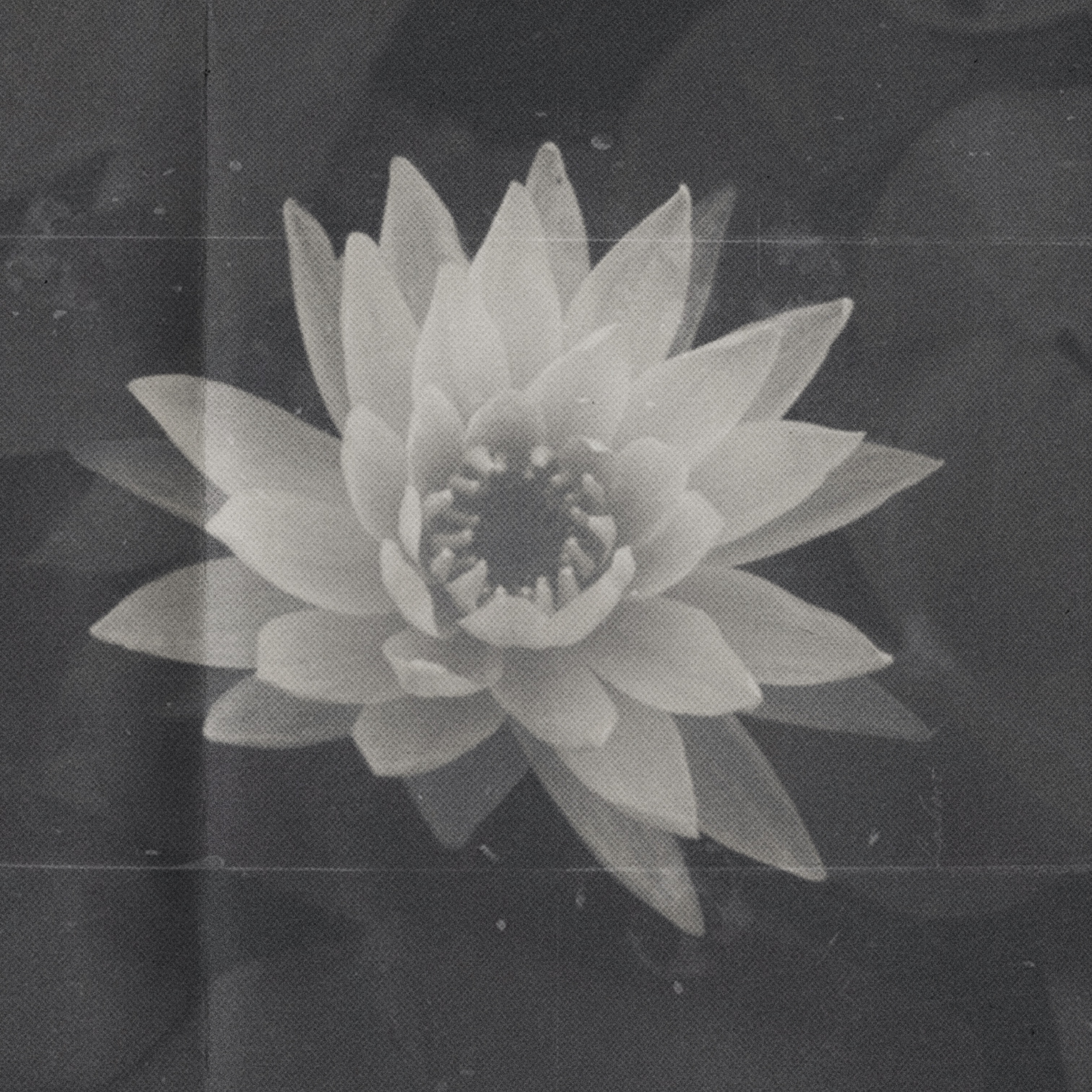 ALTERNATIVE SLEEP EP Sharp Side Up : Single by Colin Usher